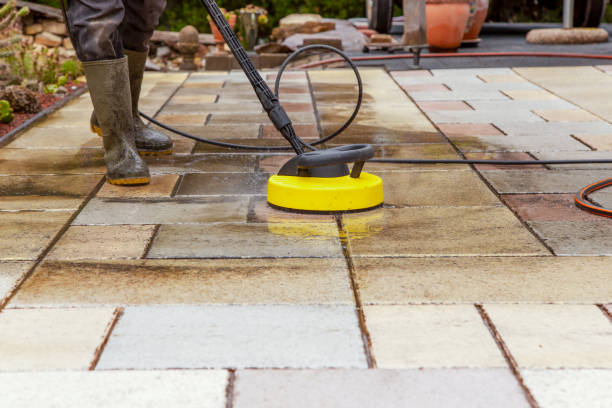 Best Roof Cleaning and Mildew Removal in Grayvle, IL